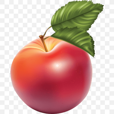 Apple Red Illustration Large