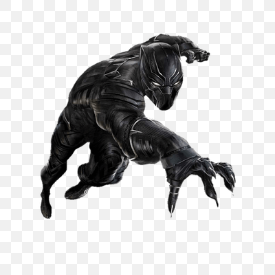 Black Panther Front