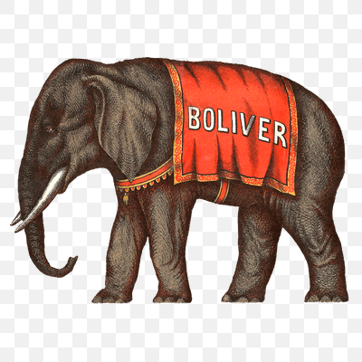 Circus Elephant Victorian