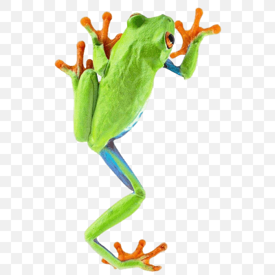 Frog Climbing