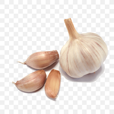 Free Garlic Group PNG Download