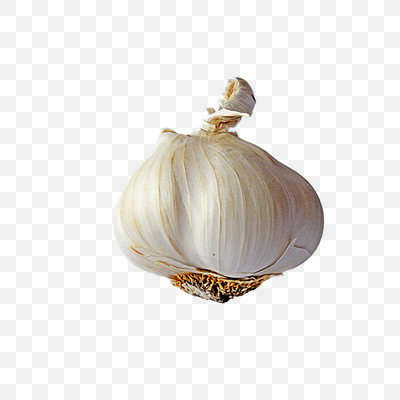 Garlic Single