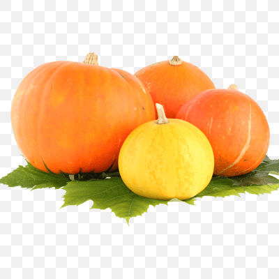 Free Group Pumpkin PNG Download