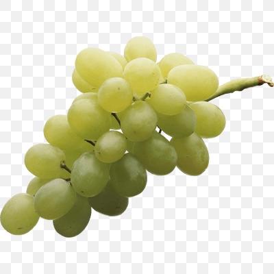 Free Isolated White Grape PNG Download