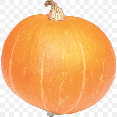 Large Pumpkin