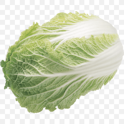 Free Lettuce Salad PNG Download