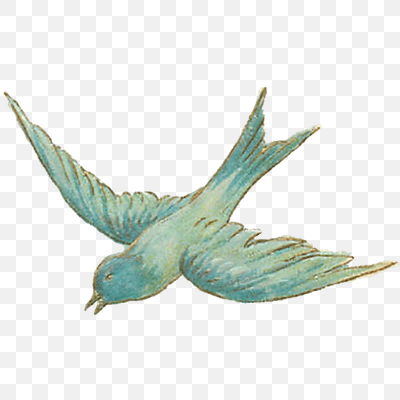 Vintage Bird Sketch